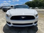 Thumbnail Photo 2 for 2017 Ford Mustang GT